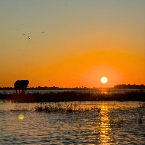 620 pixels placeholder image